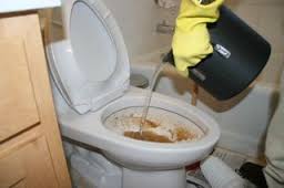 Deboucher un wc