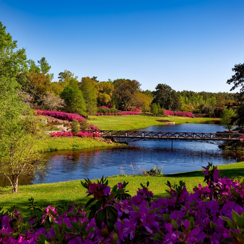 Amenagement jardin parc