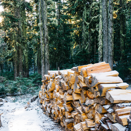Comment choisir le bois de chauffage pour votre cheminée ?
