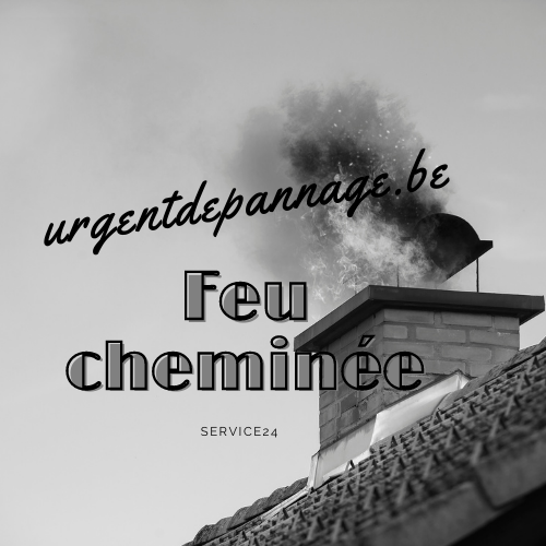 Feu de cheminee