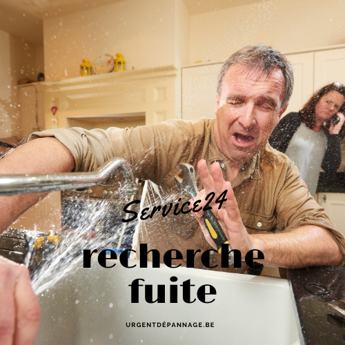 Fuite d eau recherche