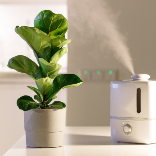 Pourquoi installer un humidificateur d air