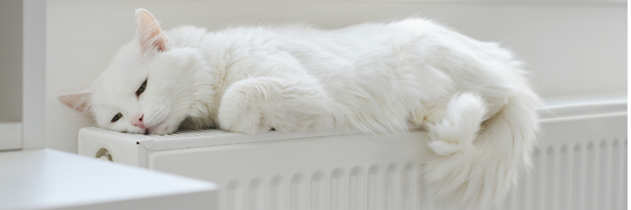 Prix radiateur combien ca coute