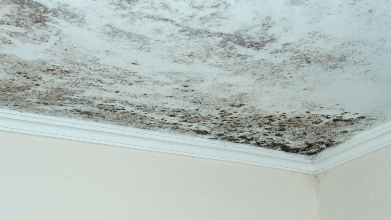 Probleme d humidite au plafond causes et solutions