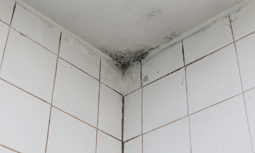 Probleme humidite salle de bain en belgique