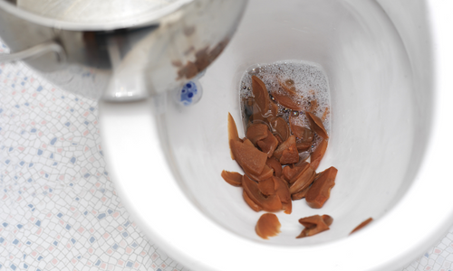 Toilette qui ce bouche deboucher avec un aspirateur sec humide